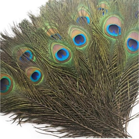 50 Count | Peacock GREEN Blue Feathers 10-12 inches for Wedding Decor - Picture 6 of 7